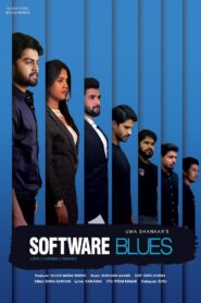 Software Blues